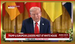 2025-08-18 at 8.46.56.jpeg